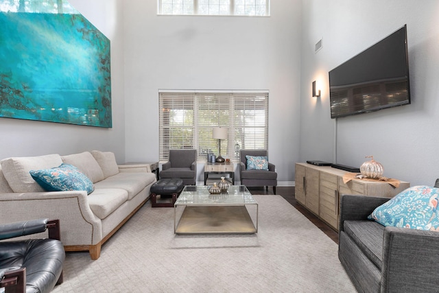 living room featuring a towering ceiling and hardwood / wood-style flooring