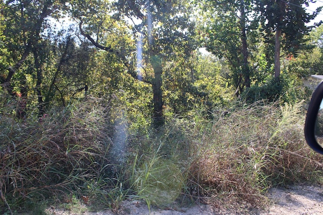 view of local wilderness