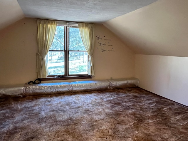 bonus room featuring lofted ceiling, a textured ceiling, and carpet flooring