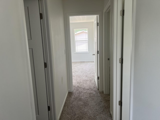 4073 White Oak Lot 4, Merriam Woods, MO 65740 - corridor with carpet and baseboards