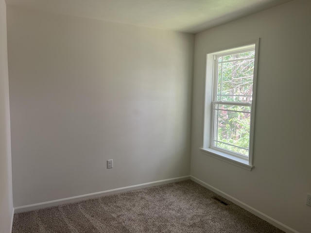 4073 White Oak Lot 4, Merriam Woods, MO 65740 - spare room featuring carpet floors and plenty of natural light