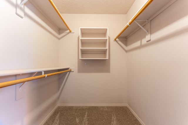 spacious closet with carpet flooring