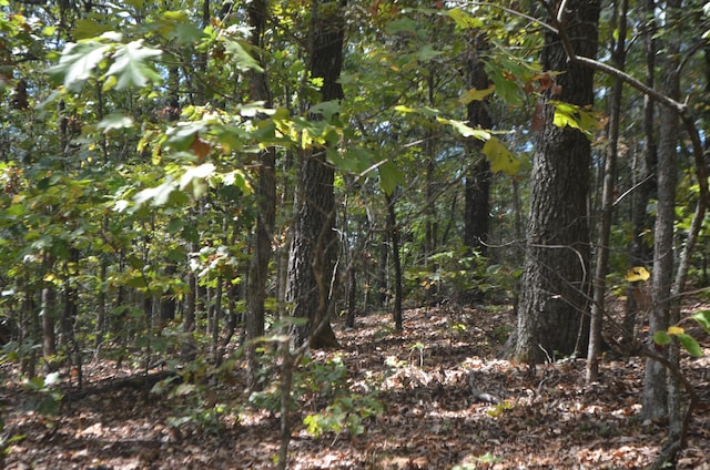 LOT26-2 & Cir, Bruner, MO 65620