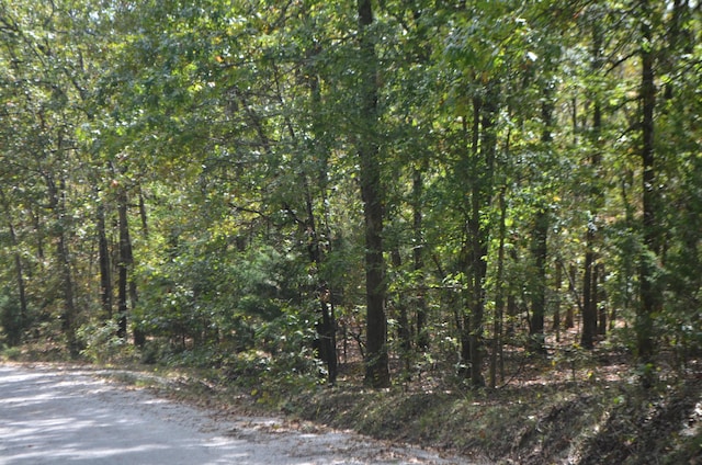 LOT26-2 & Cir, Bruner, MO 65620