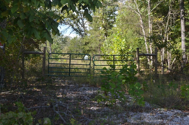 Listing photo 3 for LOT26-2 & Cir, Bruner MO 65620