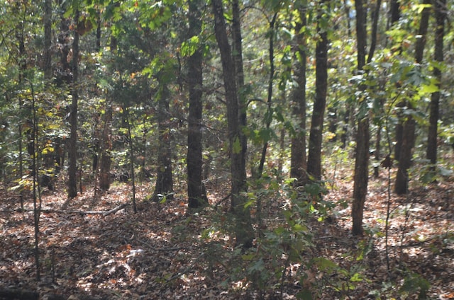 LOT26-2 & Cir, Bruner, MO 65620