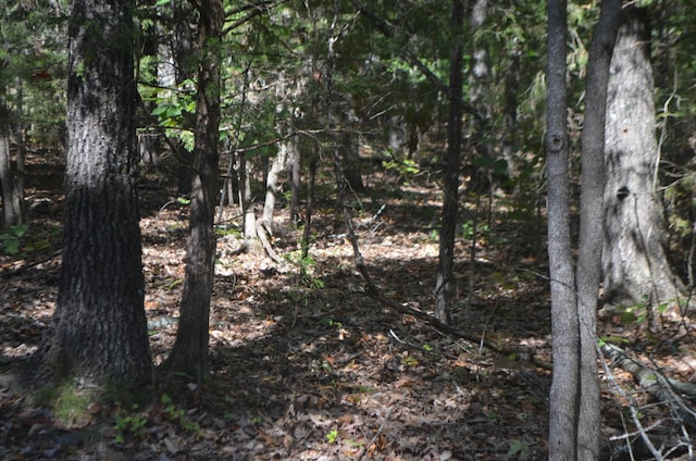 LOT26-2 & Cir, Bruner, MO 65620