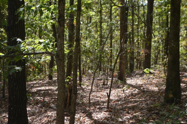 LOT26-2 & Cir, Bruner, MO 65620