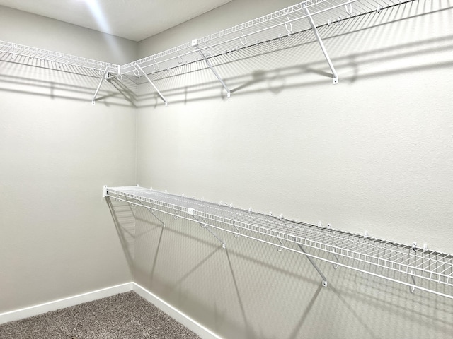 502 James, Billings, MO 65610 - walk in closet with carpet flooring