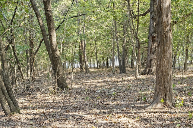 view of landscape featuring a wooded view