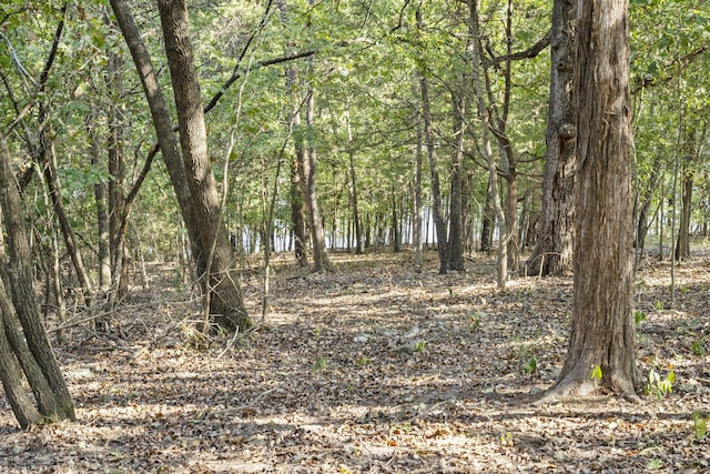 view of landscape with a forest view