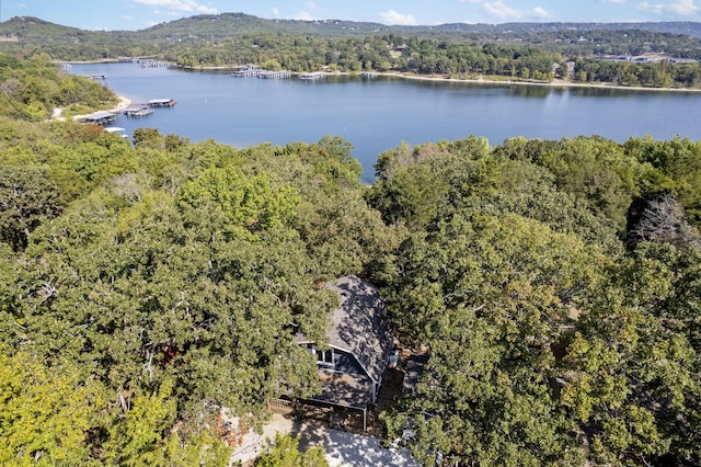 birds eye view of property with a wooded view and a water and mountain view