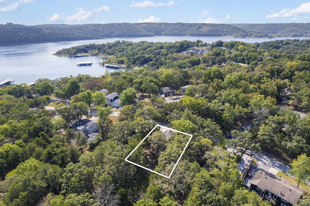 aerial view with a water view and a view of trees