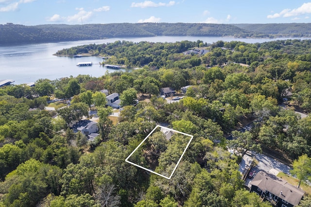 birds eye view of property featuring a water view and a forest view