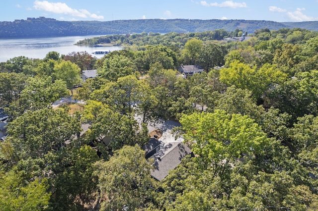 aerial view featuring a water view and a view of trees