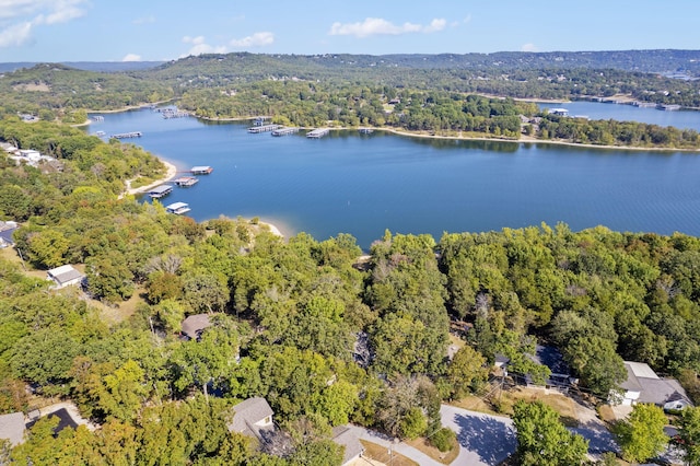 birds eye view of property with a water view and a view of trees