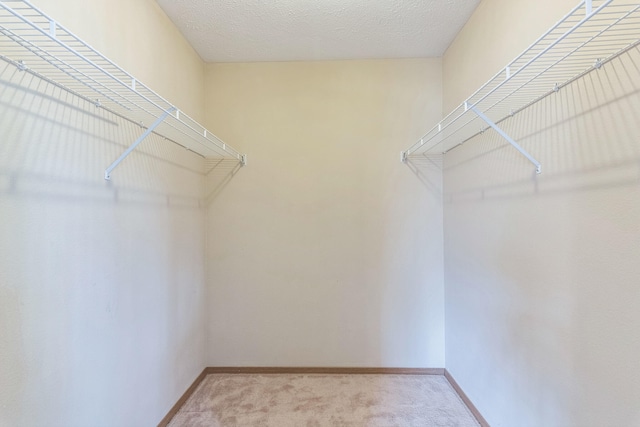 walk in closet with light colored carpet