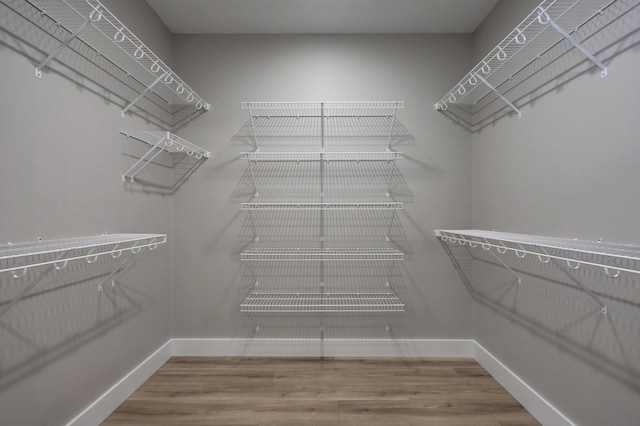 spacious closet featuring wood-type flooring