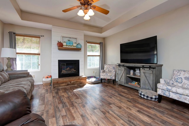 living room featuring dark hardwood / wood-style flooring, a tray ceiling, ceiling fan, and plenty of natural light