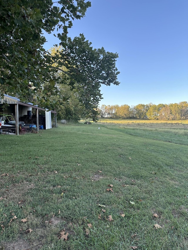 7020 N Farm Road 69, Walnut Grove, MO 65770 - view of yard