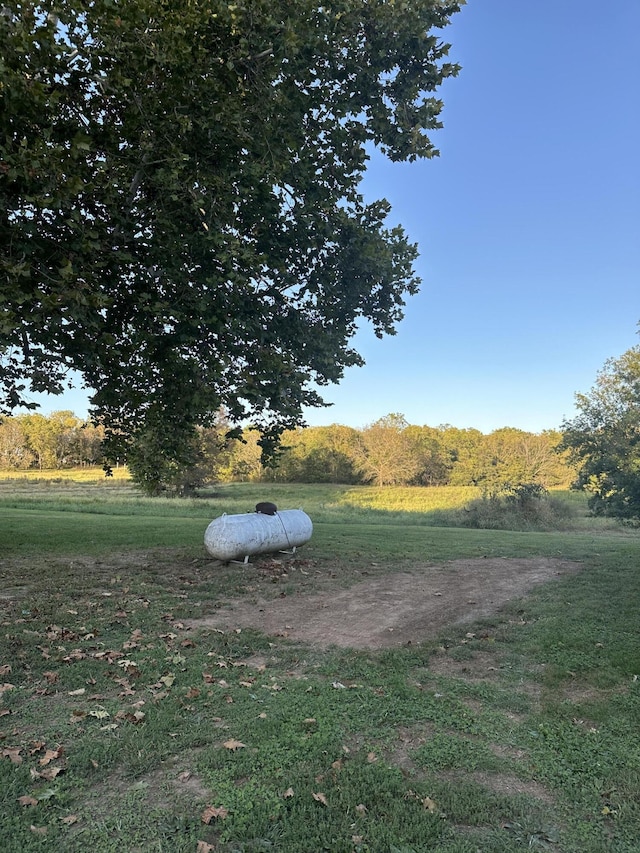 7020 N Farm Road 69, Walnut Grove, MO 65770 - view of yard with a rural view