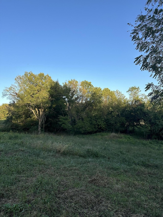 7020 N Farm Road 69, Walnut Grove, MO 65770 - view of yard featuring a forest view