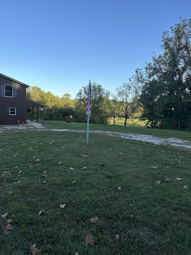 7020 N Farm Road 69, Walnut Grove, MO 65770 - view of yard