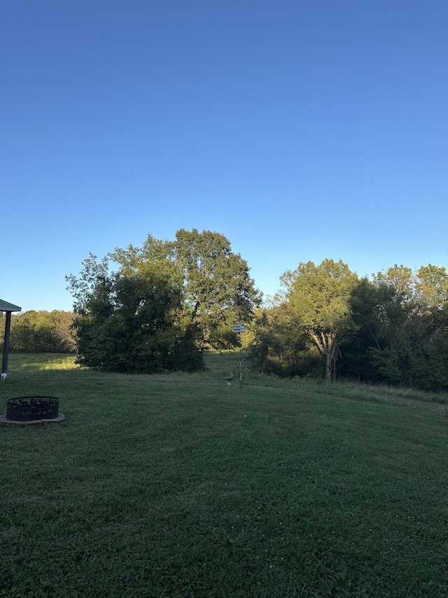 7020 N Farm Road 69, Walnut Grove, MO 65770 - view of yard