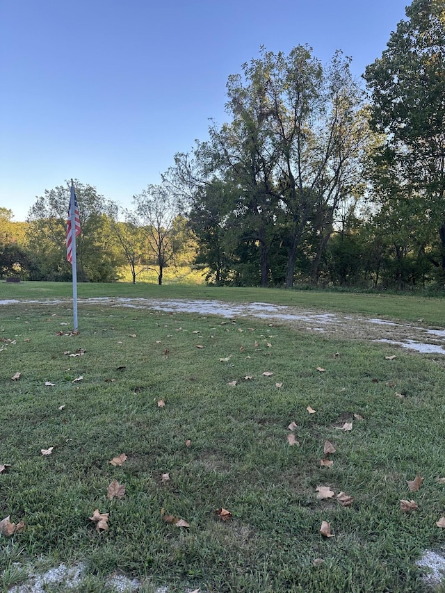 7020 N Farm Road 69, Walnut Grove, MO 65770 - view of yard