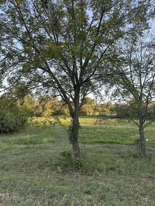 7020 N Farm Road 69, Walnut Grove, MO 65770 - view of yard