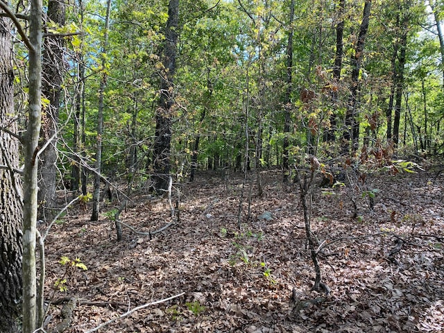 000 Moonlight Rd Unit 35Acres, Mammoth Spring AR, 72554 land for sale