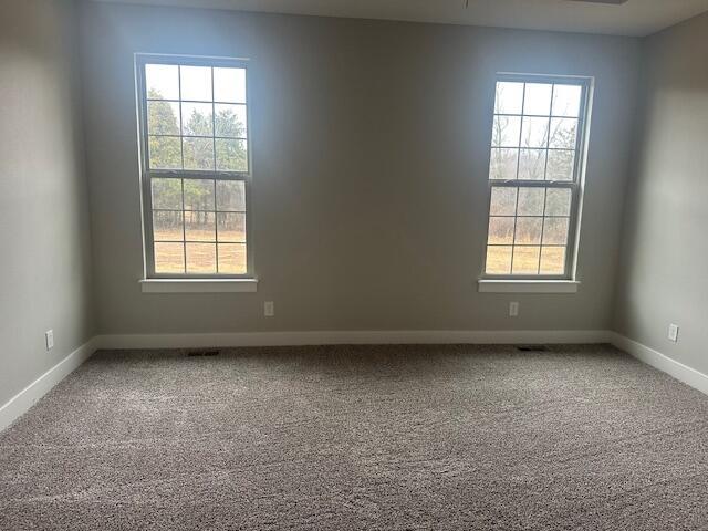 carpeted spare room featuring a wealth of natural light