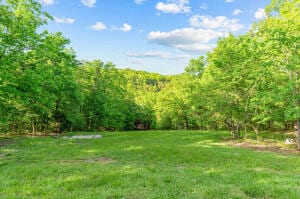 545 El Monte Rd, Branson MO, 65616 land for sale