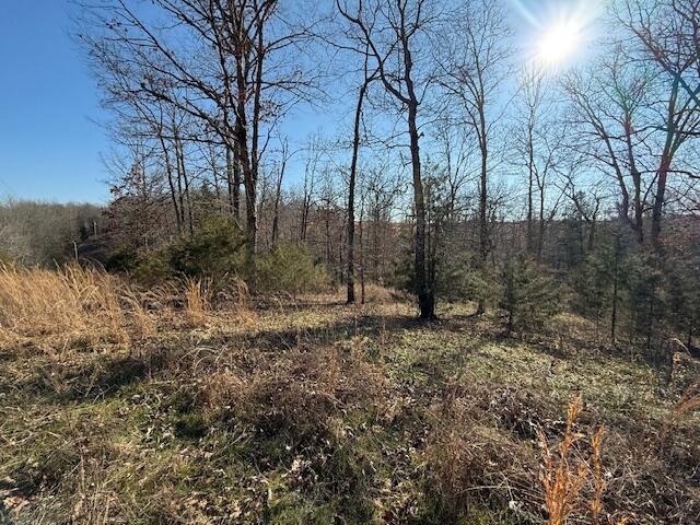 000 County Road 355, Dora MO, 65637 land for sale