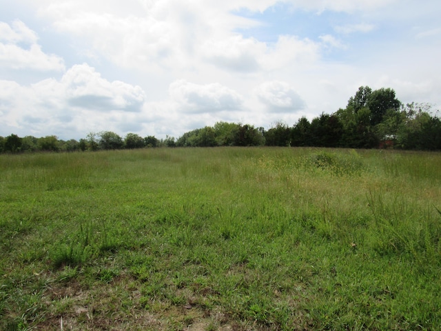 view of landscape featuring a rural view