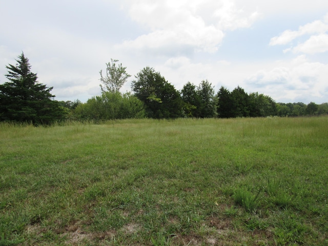 view of yard with a rural view