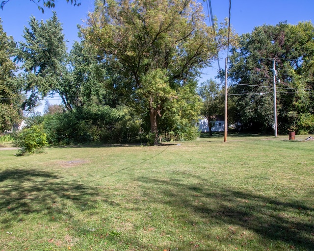 view of yard