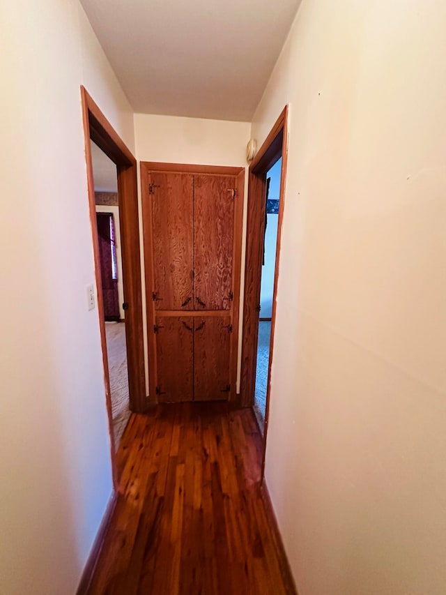 hallway featuring dark wood-type flooring