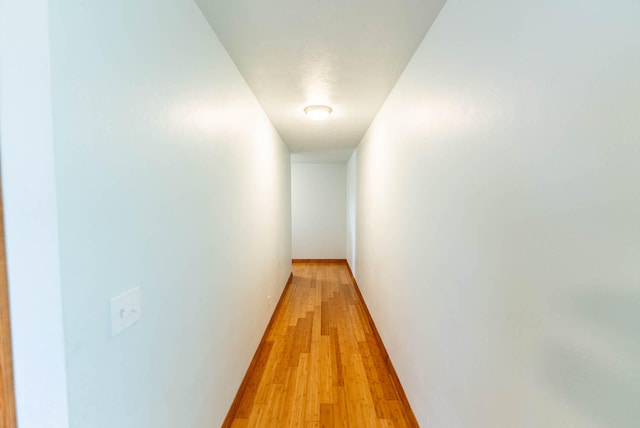 corridor featuring wood-type flooring