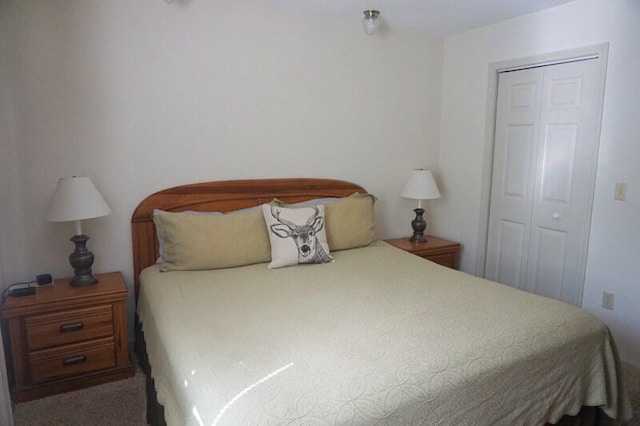 bedroom featuring a closet and carpet