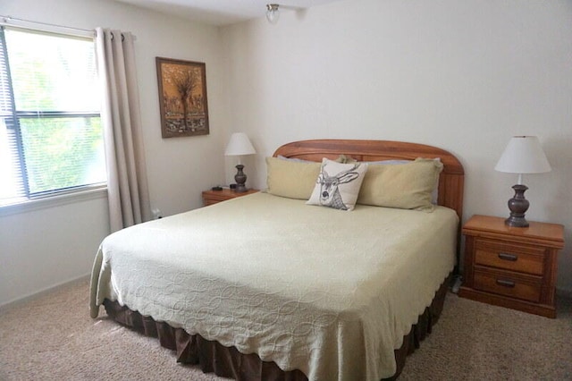 bedroom featuring carpet flooring and multiple windows