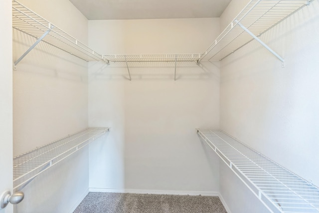 walk in closet with carpet