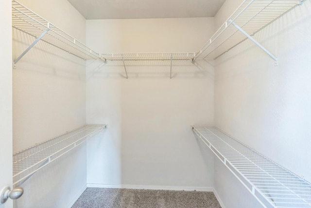 330 W Summit St, Aurora, MO 65605 - walk in closet featuring carpet flooring
