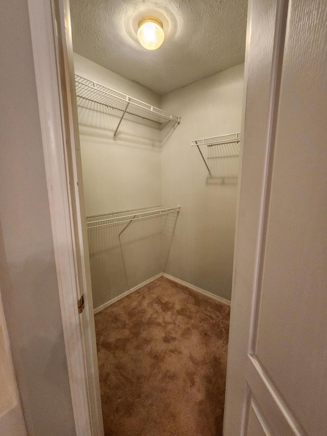 walk in closet with carpet floors