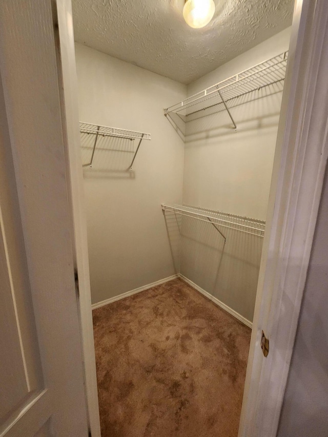 spacious closet featuring carpet floors