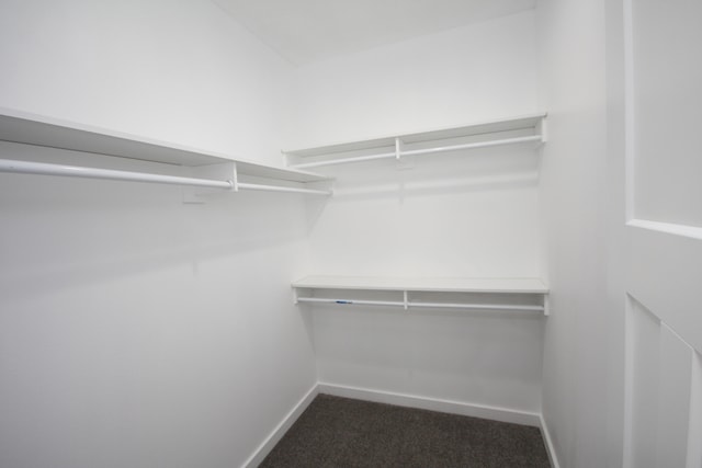 walk in closet featuring carpet flooring