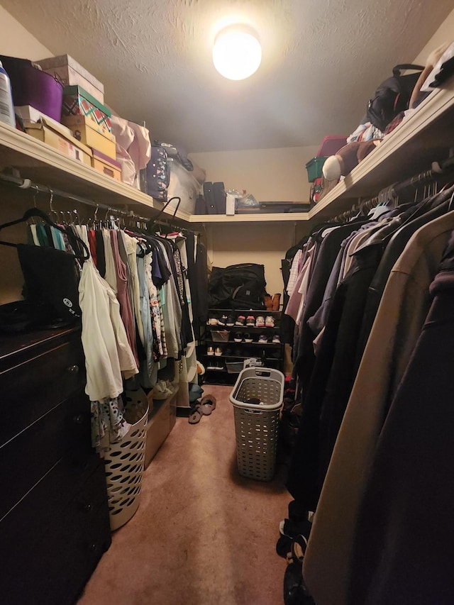 walk in closet with carpet flooring