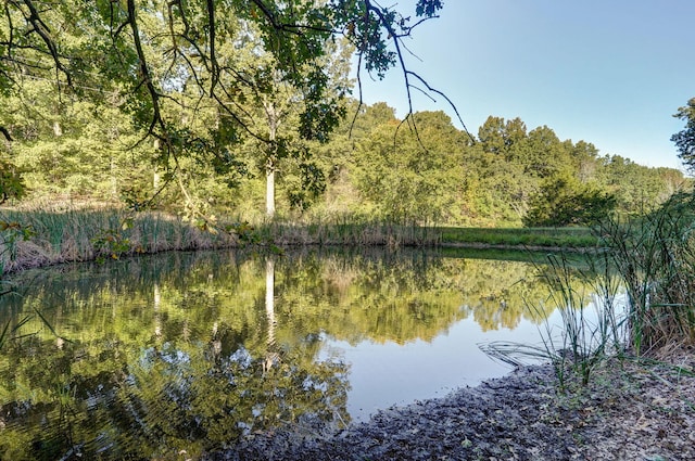 view of water feature