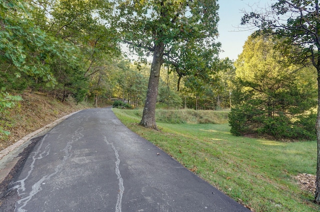 5920 State Highway A, Strafford, MO 65757 - view of asphalt road with a forest view