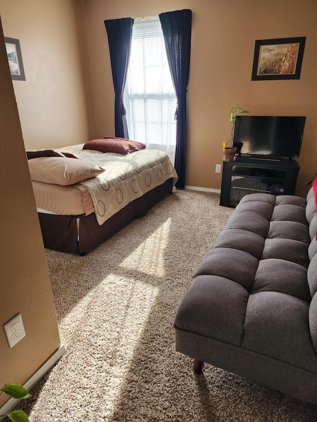 bedroom featuring carpet floors